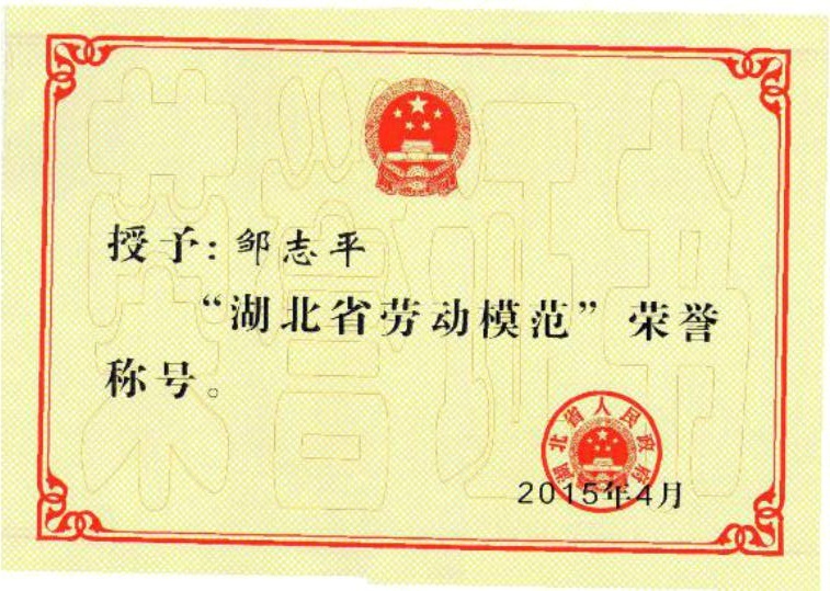 4-省级-湖北省劳动模范-邹志...