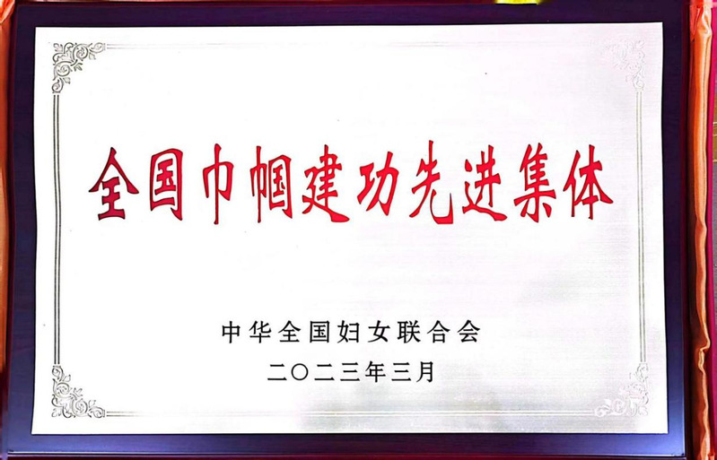 2023.03全国巾帼建功先进...