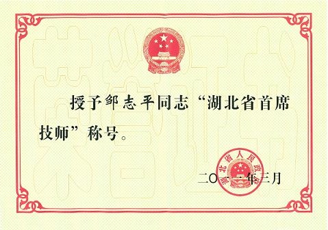 4-省级-首席湖北省首席技师-...