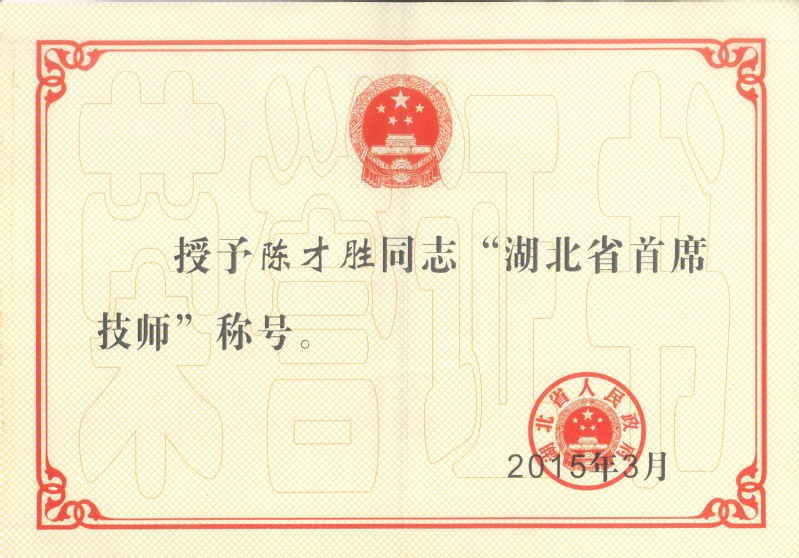 4-省级-湖北省首席技师-陈才...