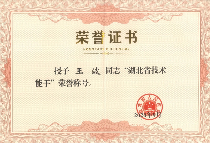 4-省级-湖北省技术能手-王波...