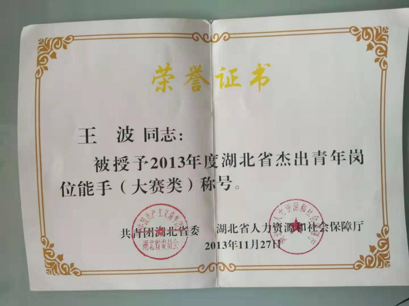 4-省级-湖北省杰出青年岗位能...