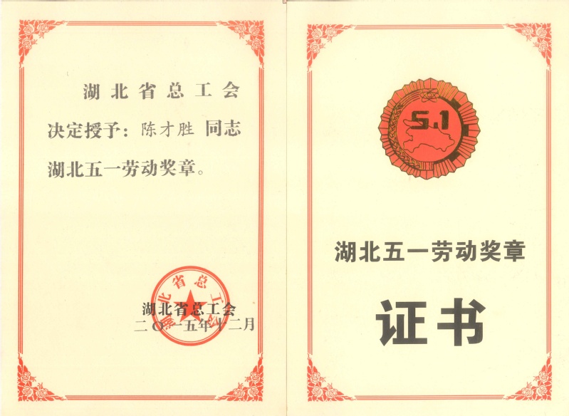 4-省级-湖北省五一劳动奖章-...